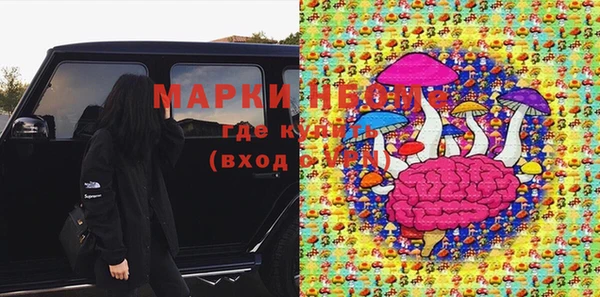 шишки Верхний Тагил
