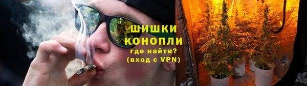 шишки Верхний Тагил
