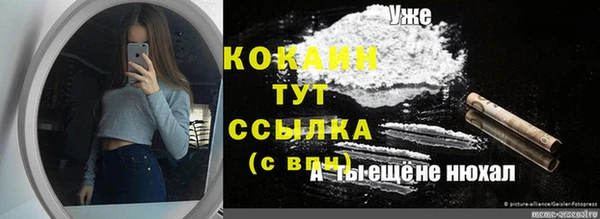 индика Верея