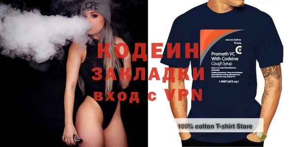 шишки Верхний Тагил