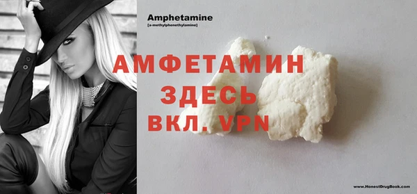 шишки Верхний Тагил