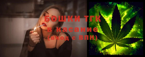 индика Верея