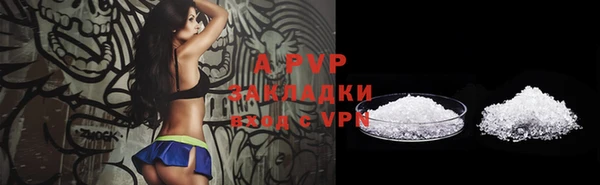 индика Верея