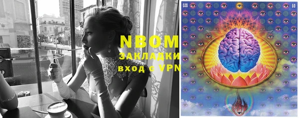индика Верея