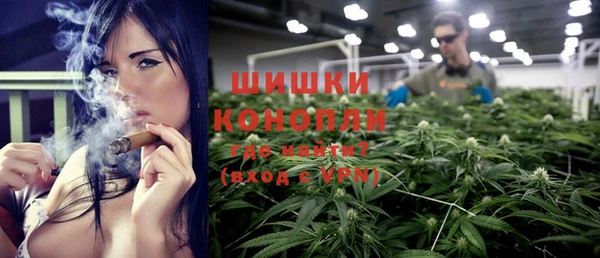 индика Верея