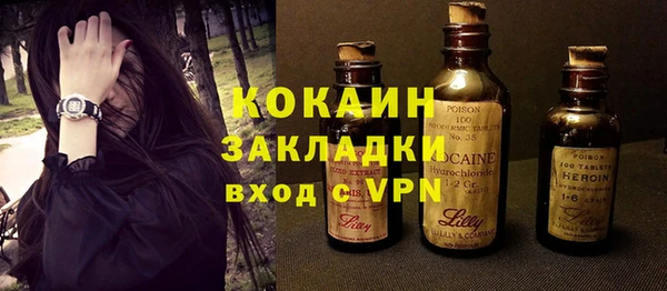 индика Верея