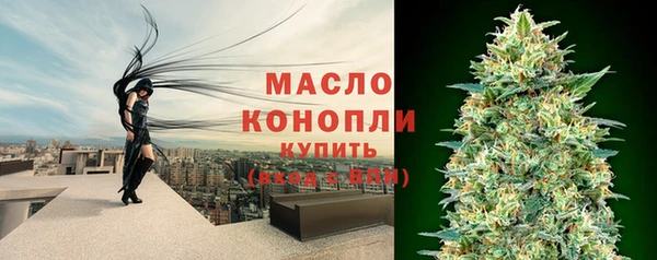 шишки Верхний Тагил
