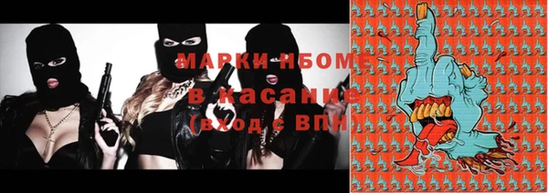 индика Верея