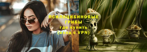 индика Верея